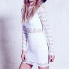 Long-sleeve Sheath Lace Dress