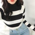 Striped Turtle-neck Slim-fit Sweater