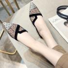 Dotted Mesh Pointed Mules