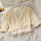 Cropped Deep V-neck Lace Shirt