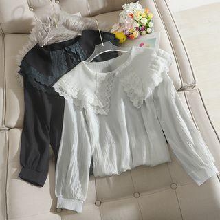 Lace Trim Collar Crinkle Blouse