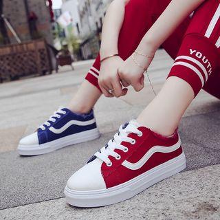 Contrast Panel Canvas Lace-up Shoes