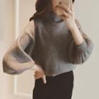Turtleneck 3/4 Sleeve Sweater
