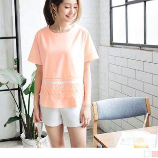 Short Sleeve Lace Panel Embroidered Top