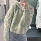 Cable Knit Zip Hooded Cardigan