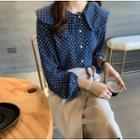 Peter Pan Collar Dot Print Long Sleeve Blouse