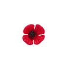 Simple And Exquisite Enamel Red Poppy Flower Brooch Golden - One Size