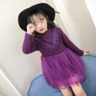 Long-sleeved Fleece-lined A-line Plain Panel Mesh Sheath Dress