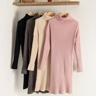 Plain Turtle-neck Long-sleeve Slim-fit Knit Dress