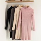 Plain Turtle-neck Long-sleeve Slim-fit Knit Dress