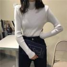 Long-sleeve Plain Turtleneck Knit Top