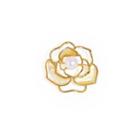 Fashion And Elegant Plated Gold Freshwater Pearl Brooch Golden - One Size