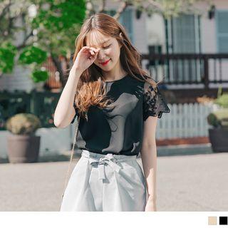 Short Lace Sleeve Panel Top