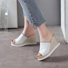 Wedge Heel Platform Slide Sandals