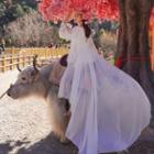 Long-sleeve Open-back Maxi A-line Dress