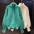 Plain High-neck Long-sleeve Jacket