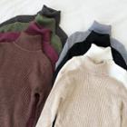 Plain Rib Knit Turtle-neck Long-sleeve Knit Top