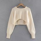 Plain Crop Knit Sweater