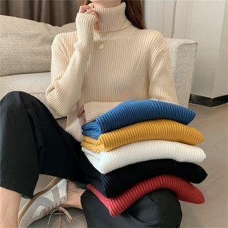 Plain Turtleneck Long-sleeve Rib Knit Top