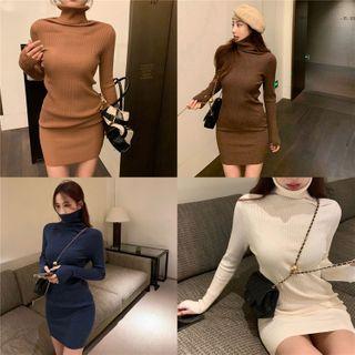 Turtleneck Skinny Knit Mini Dress In 5 Colors