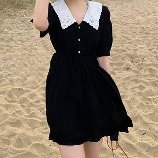 Short-sleeve Collared Dress / Top
