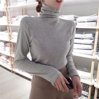 Plain Turtle-neck Slim-fit Long-sleeve Top
