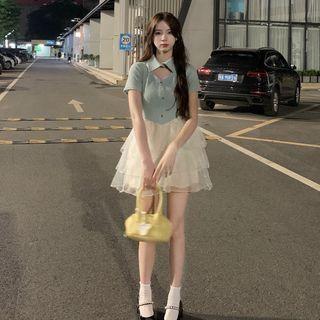 Two Tone Mesh A-line Mini Dress