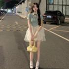 Two Tone Mesh A-line Mini Dress