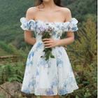 Off Shoulder Floral Print Mini Mesh A-line Dress