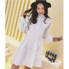 Lace Panel Stand Collar Long Sleeve Dress