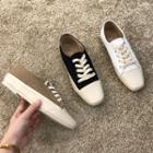 Square-toe Lace-up Canvas Sneakers