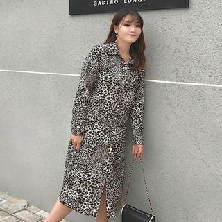 Leopard Print Long-sleeve Maxi Dress