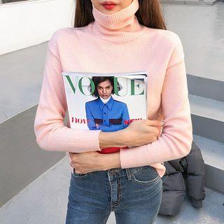 Turtleneck Sweater In 10 Colors