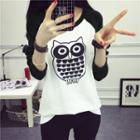 Owl Print Raglan Long Sleeve T-shirt