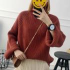 Turtleneck Ribbed Chunky Sweater