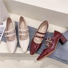 Pointed Strappy Block Heel Mary Jane Shoes