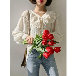Crochet-trim Capelet Lace Blouse
