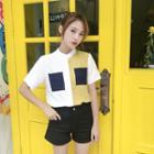 Color Block Short-sleeve Blouse