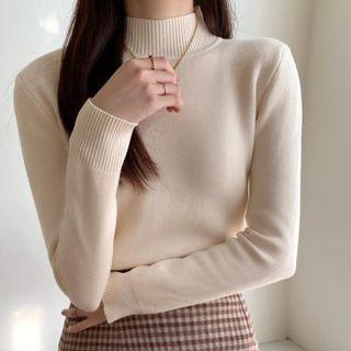 Semi Turtleneck Plain Lining Knit Top