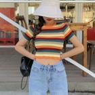 Short-sleeve Striped Cropped Knit Top Muticolor - One Size