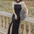Mandarin Collar Dotted Panel Slit Midi A-line Dress