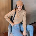 Plain Loose-fit Crop Sweatshirt In 5 Colors