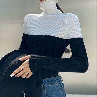 Turtleneck Contrast Panel Ribbed Knit Top