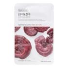 The Face Shop - Real Nature Face Mask 1pc (20 Types) 20g Ling Zhi