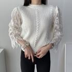 Eyelet Lace Panel 3/4-sleeve Knit Top