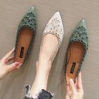 Pointy-toe Embroidered Perforated Flats