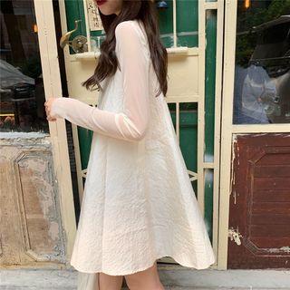 Long-sleeve Sheer Top / A-line Sleeveless Dress