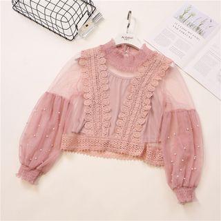 Crochet Panel Faux Pearl Cropped Mesh Blouse