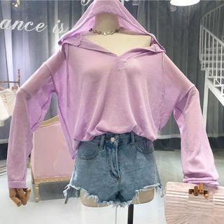 Long-sleeve Hooded Sheer Top