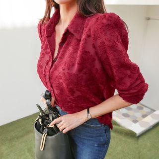Long-sleeve Sheer Lace Blouse